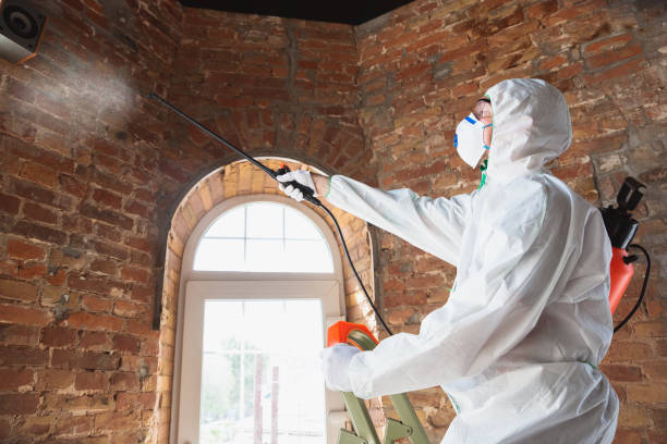 Best Forensic Mold Investigation  in Springboro, OH